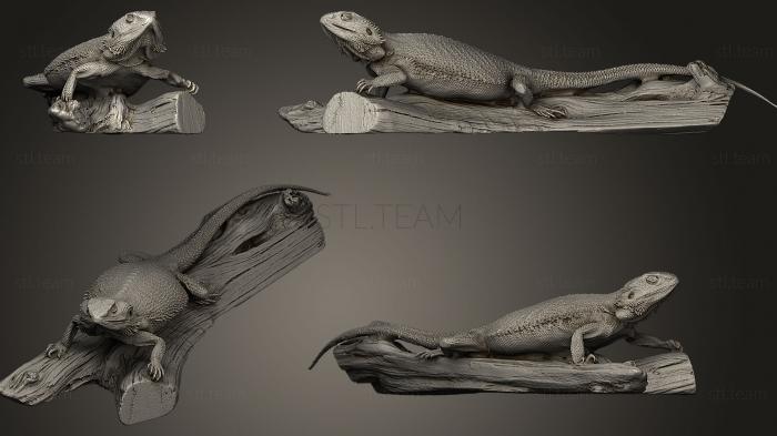 3D model Bearded Dragon (STL)